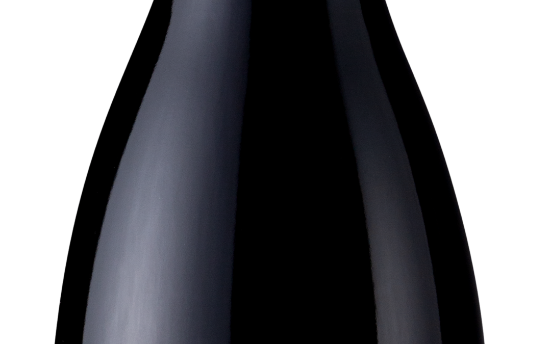 Fog & Light 2018 Pinot Noir Bottle Shot – transp
