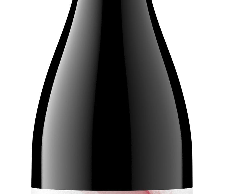 Lightly 2019 Pinot Noir Bottle Shot – transp