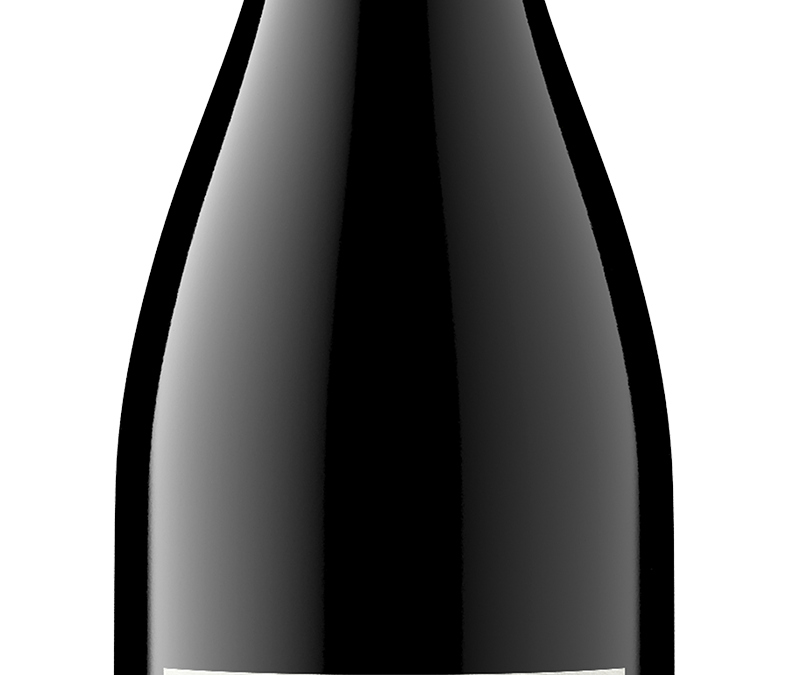 Aristotle NV Petite Sirah Back Bottle Shot – transp