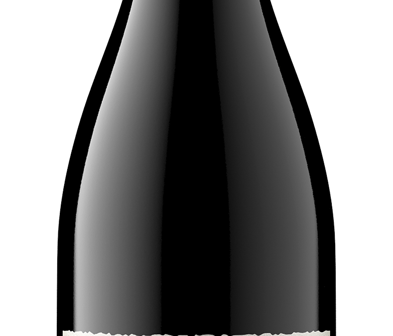 Aristotle NV Petite Sirah Front Bottle Shot – transp