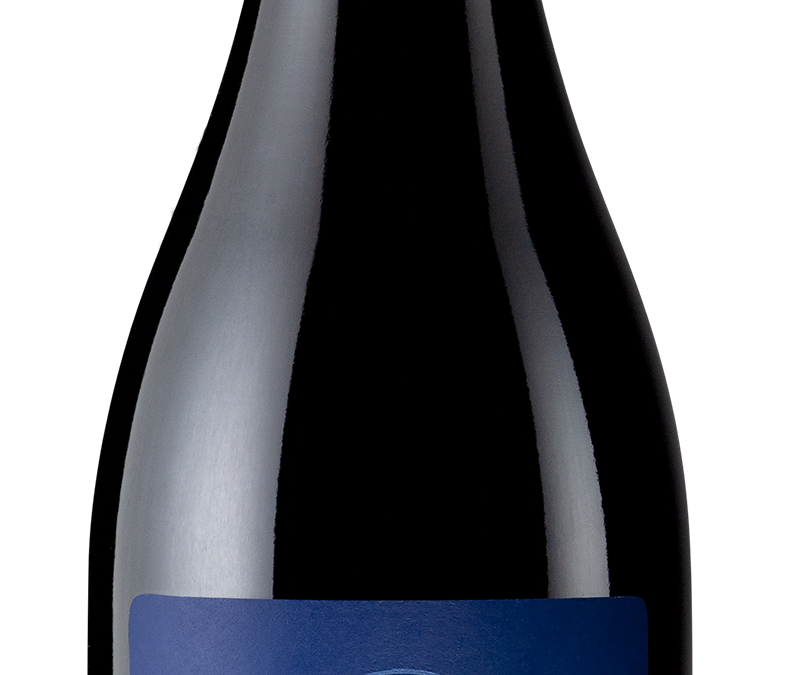 District 7 2019 Pinot Noir Bottle Shot – transp