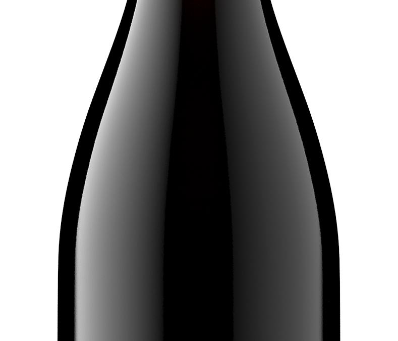 Reflection Ridge NV Pinot Noir Bottle shot- transp