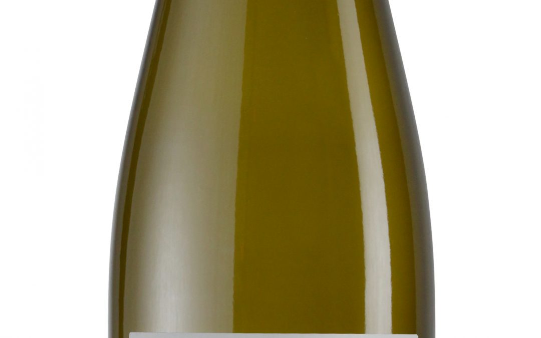 Scheid Vineyards 2020 Dry Riesling Bottle shot -highres