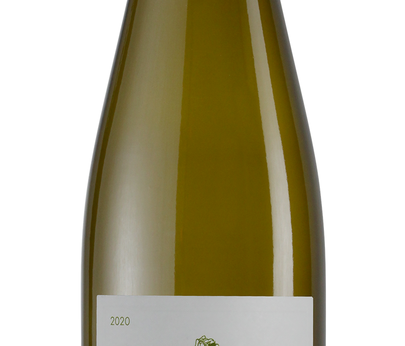 Scheid Vineyards 2020 Dry Riesling Bottle shot -transp