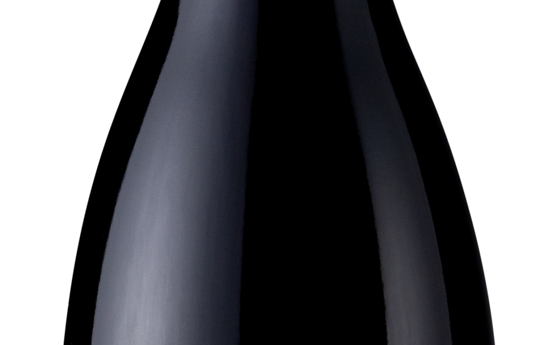 Fog & Light 2019 Pinot Noir Bottle Shot -transp