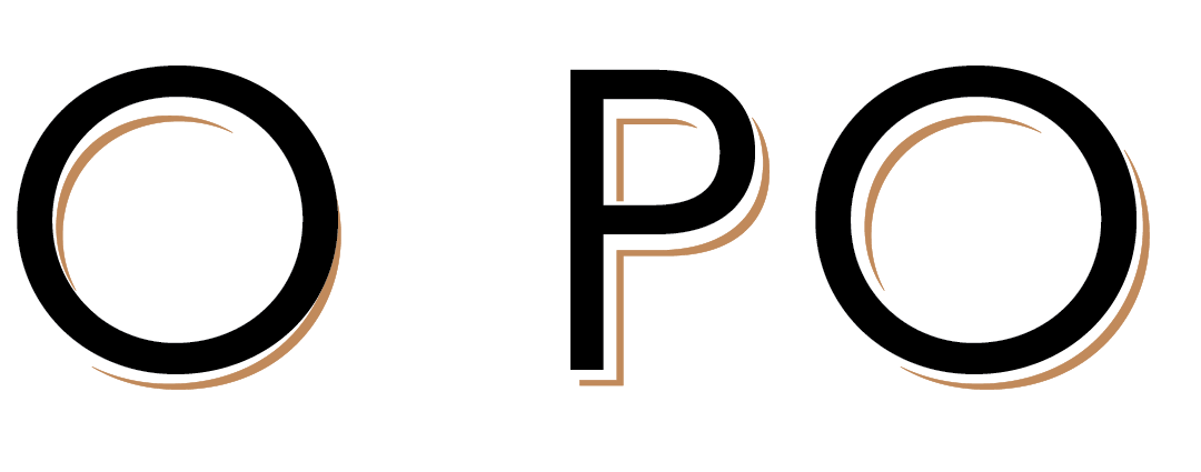 Paso Point Logo