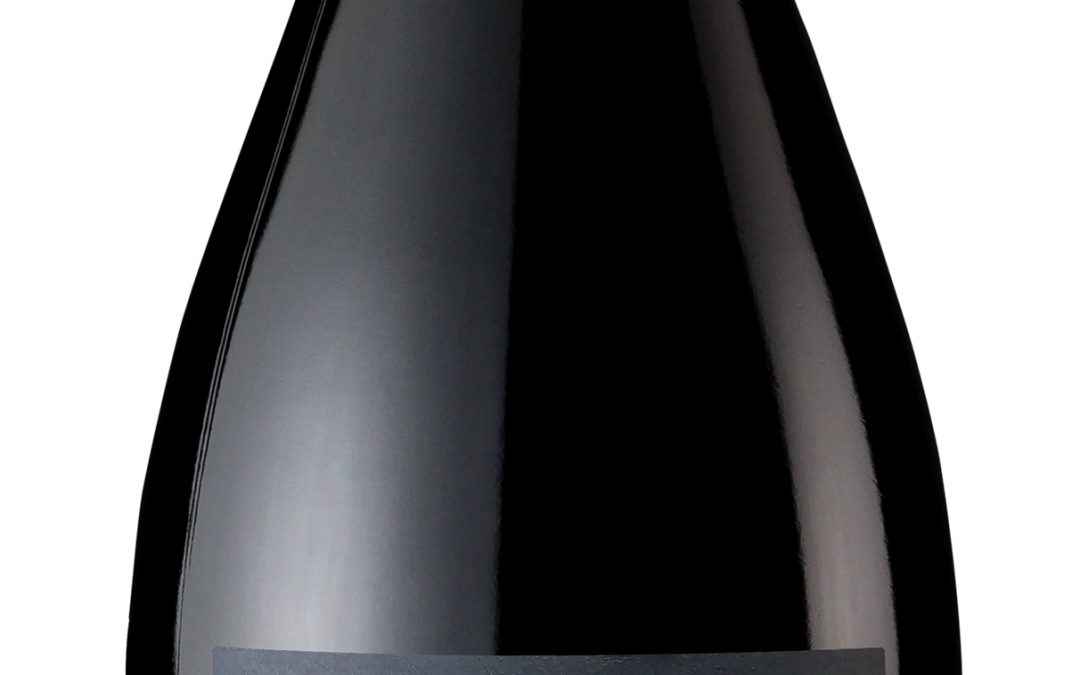 Scheid Vineyards 2019 Pinot Noir Bottle shot -highres