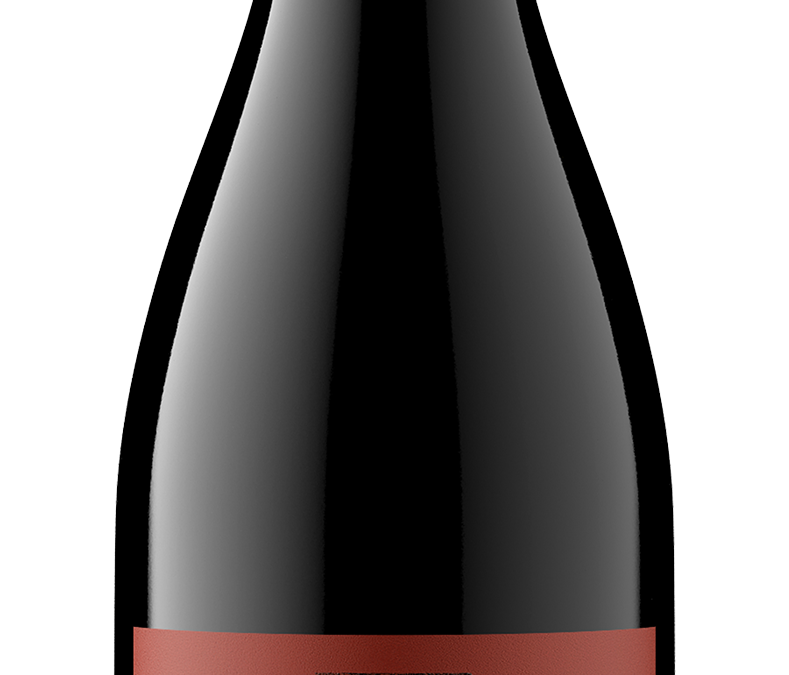 Andover Estate NV Pinot Noir Bottle Shot – transp