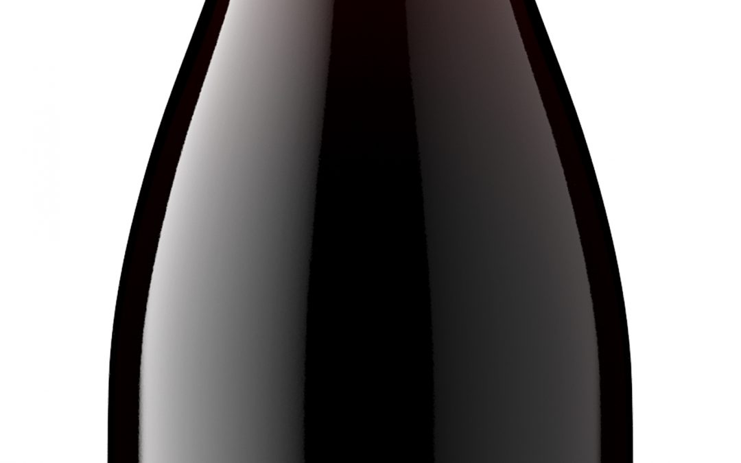 Rocklin Ranch 2019 Pinot Noir Bottle shot -highres