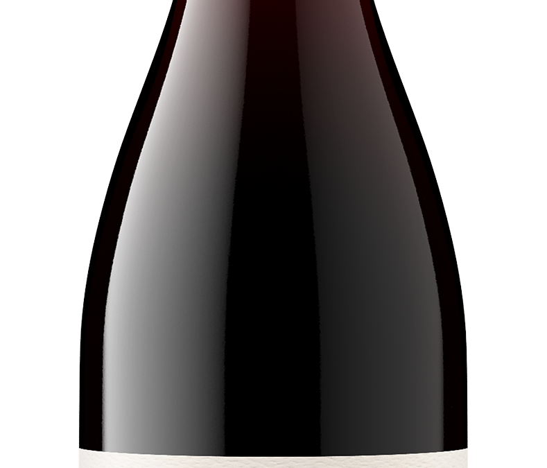 Rocklin Ranch 2019 Pinot Noir Bottle shot -transp