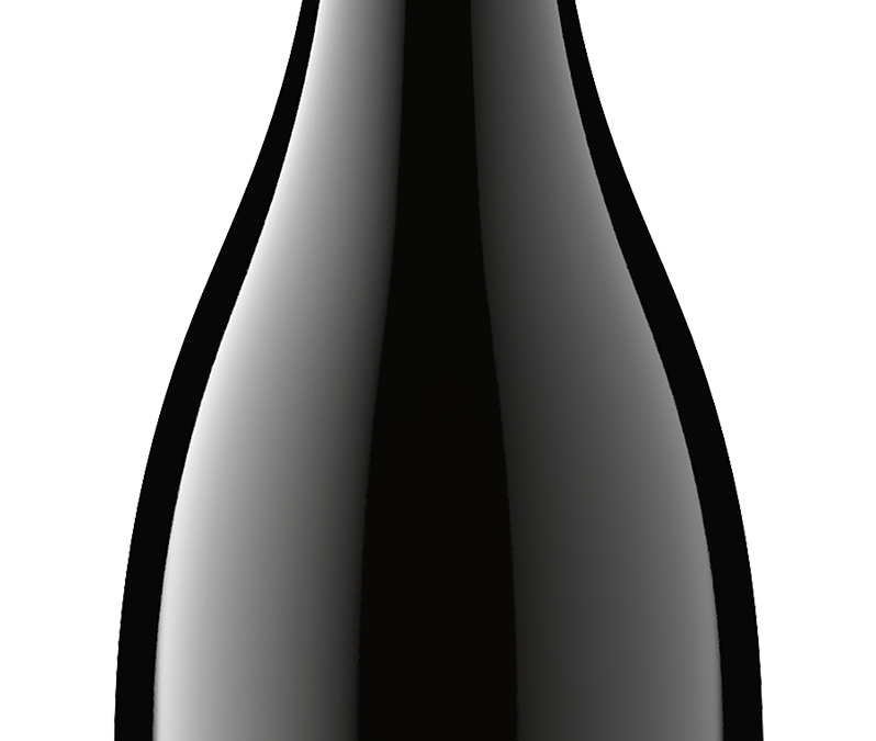 Metz Road NV Pinot Noir Bottle Shot -transp