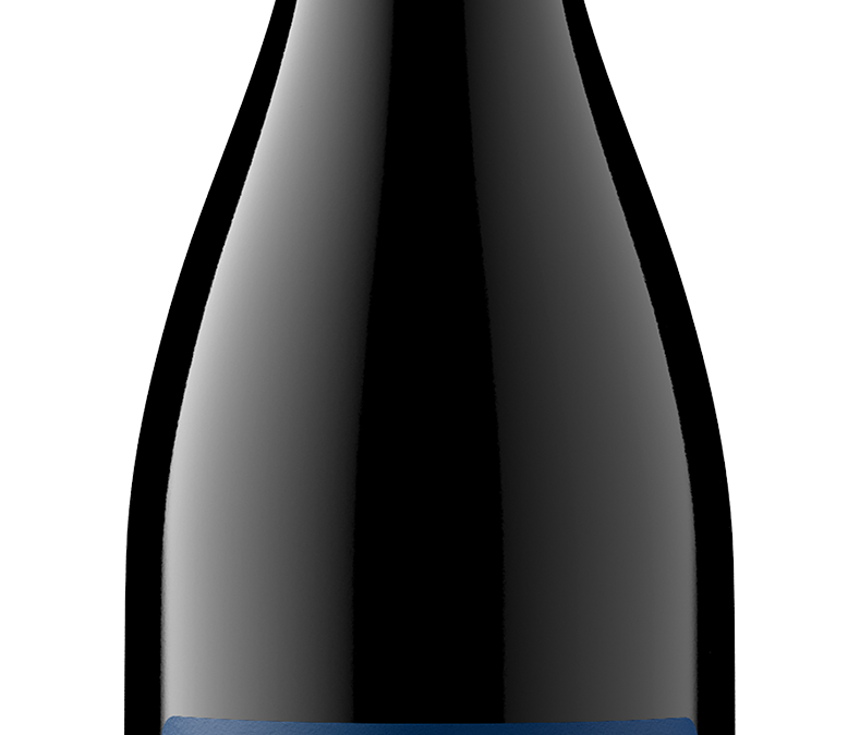 District 7 2020 Pinot Noir Bottle Shot -transp
