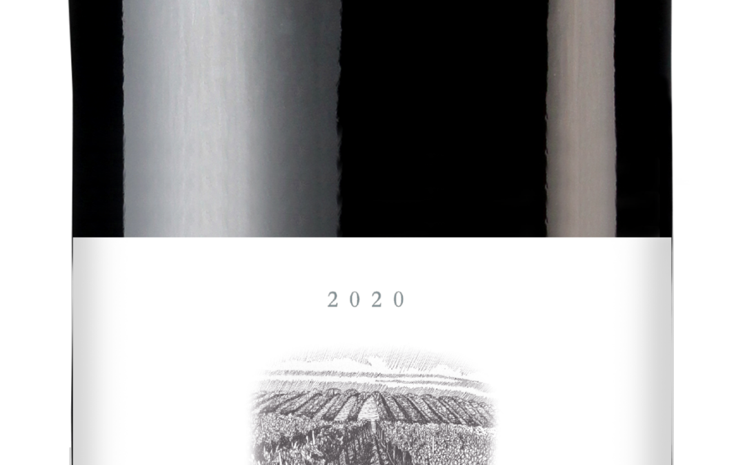 Pebble Lane 2020 Cabernet Sauvignon Bottle Shot
