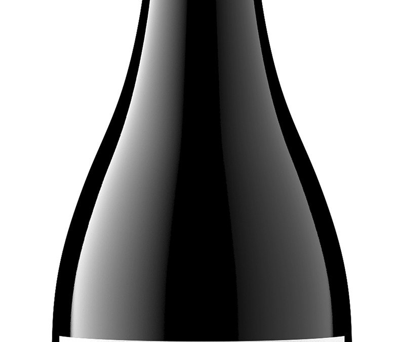 Paso Point 2020 Syrah bottle shot -transp