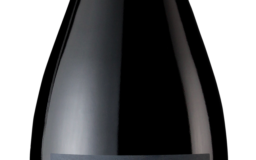 Scheid Vineyards 2020 Pinot Noir Estate bottle shot -transp