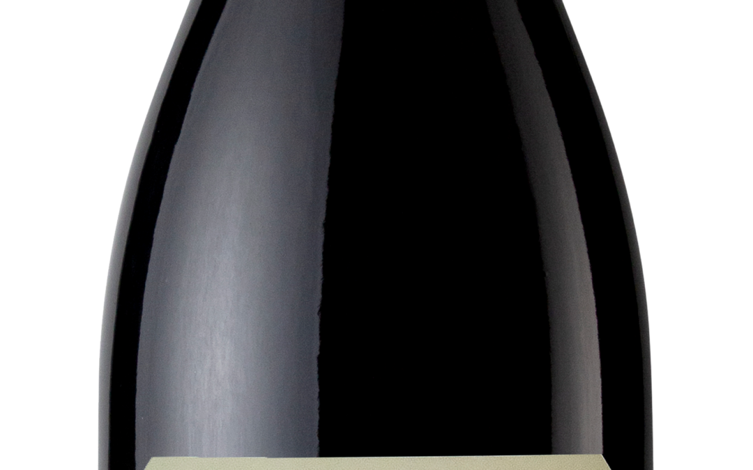 Equoia NV Pinot Noir bottle shot -transp
