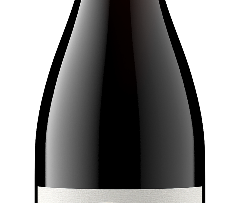 Mundaka NV Pinot Noir Bottle Shot -transp