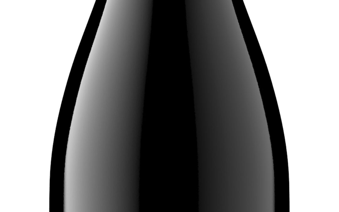District 7 NV Pinot Noir bottle shot -high res