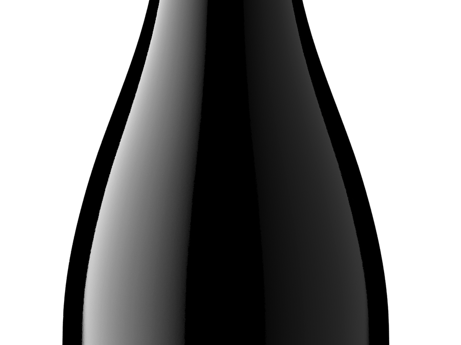 Ryder Estate 2022 Pinot Noir bottle shot -transp