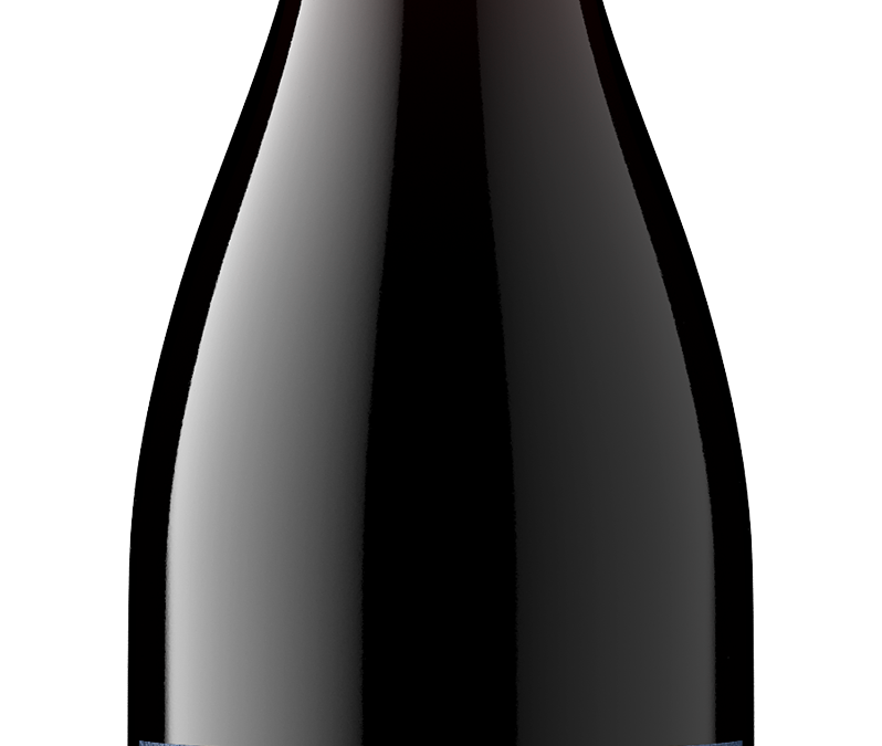 Blue Canyon NV Pinot Noir Bottle Shot -transp