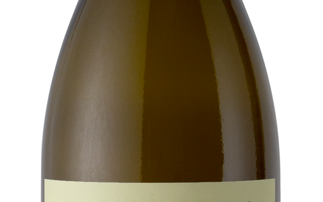 Elder Rock NV Chardonnay bottle shot -transp