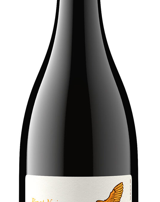 Metz Road 2021 Pinot Noir bottle shot -high res